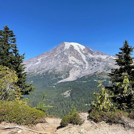 New Modern Cabin! 5Mi To Mt Rainier National Park! Hot Tub & Wifi アッシュフォード エクステリア 写真