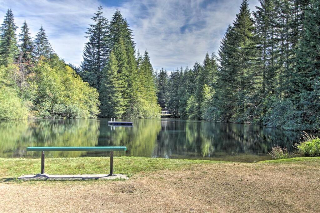 New Modern Cabin! 5Mi To Mt Rainier National Park! Hot Tub & Wifi アッシュフォード エクステリア 写真