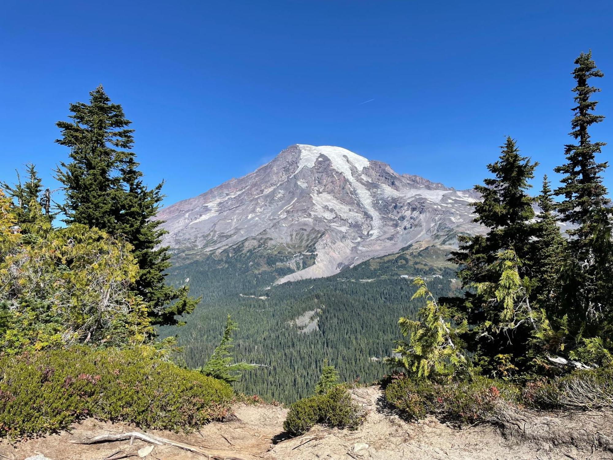 アッシュフォード New Modern Cabin! 5Mi To Mt Rainier National Park! Hot Tub & Wifiヴィラ エクステリア 写真